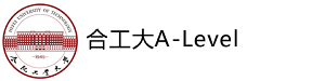 合工大alevel