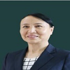 刘琴