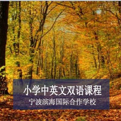 宁波滨海国际合作学校小学中英双语课程