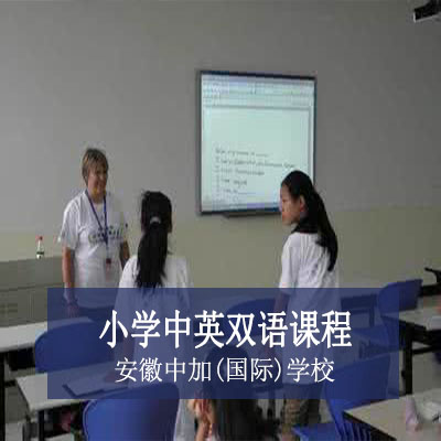 安徽中加(国际)学校小学中英双语课程