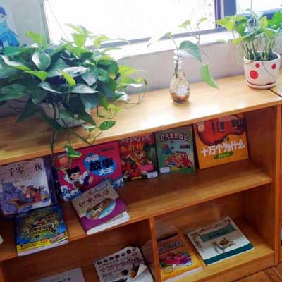 寧鄉碧桂園學校幼兒園招生簡章