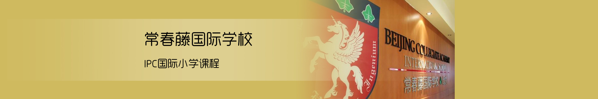 常春藤国际学校
