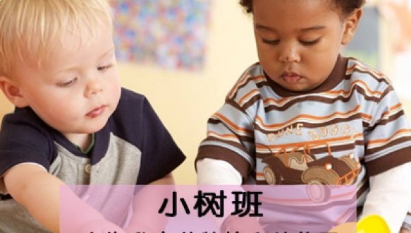 上海私立蒙特梭利幼兒園小樹班（3-6歲）