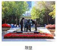 精彩图片