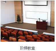 精彩图片