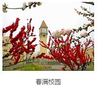 精彩图片
