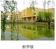 精彩图片