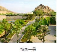 精彩图片