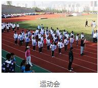 精彩图片