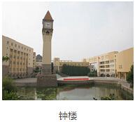 精彩图片
