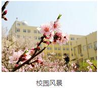 精彩图片