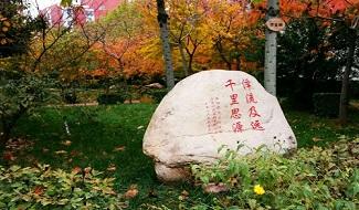 精彩相片