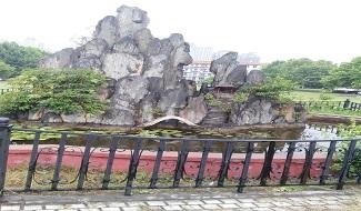 精彩相片