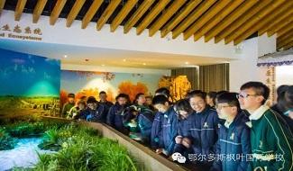 精彩相片