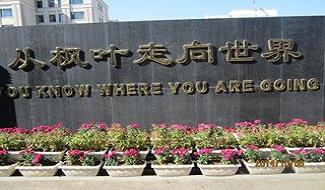 精彩相片