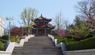 精彩相片