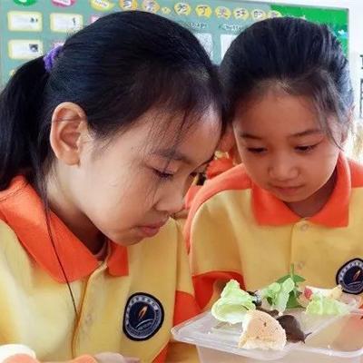 宁乡碧桂园学校小学招生简章