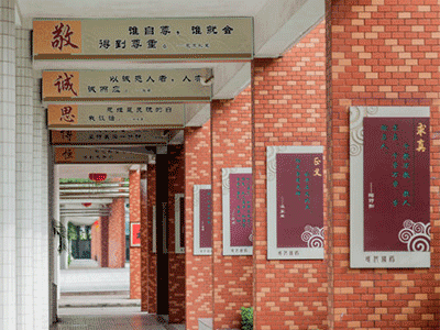 精彩相片