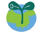 青苗国际学校