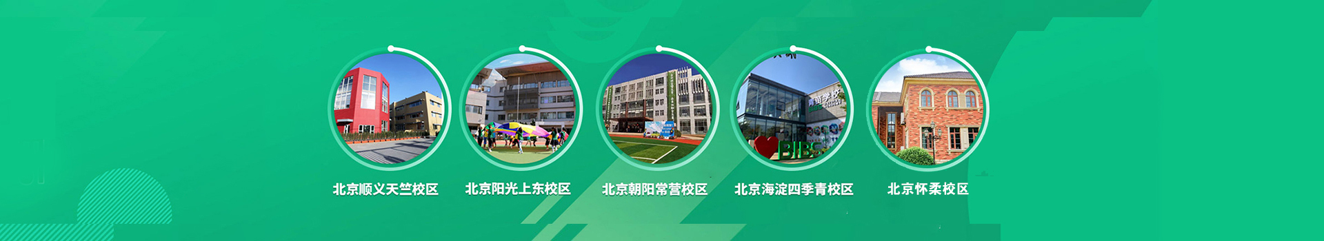 北京青苗