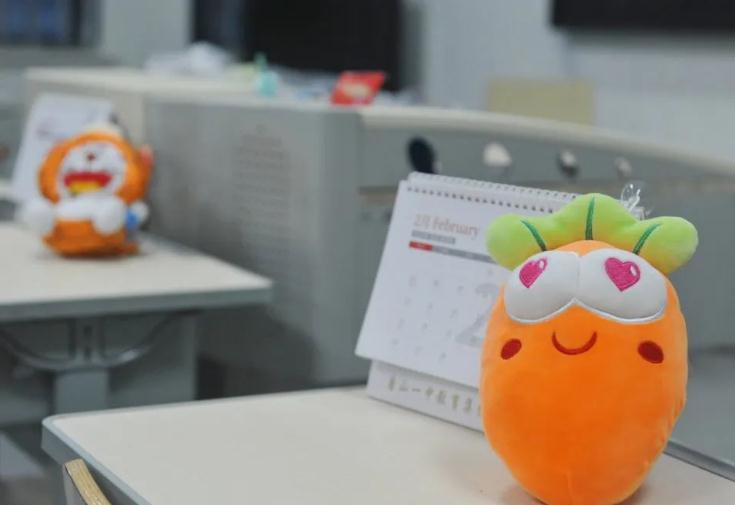枫华国际双语学校