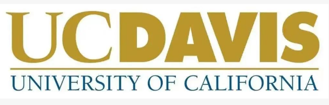 北京四中国际课程佳莲校区