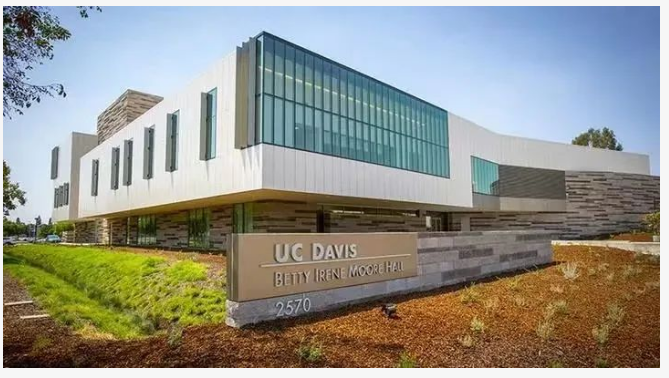 北京四中国际课程佳莲校区