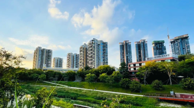 深圳IPC国际校区