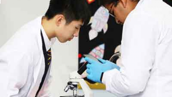 北京英国学校-顺义校区高中课程